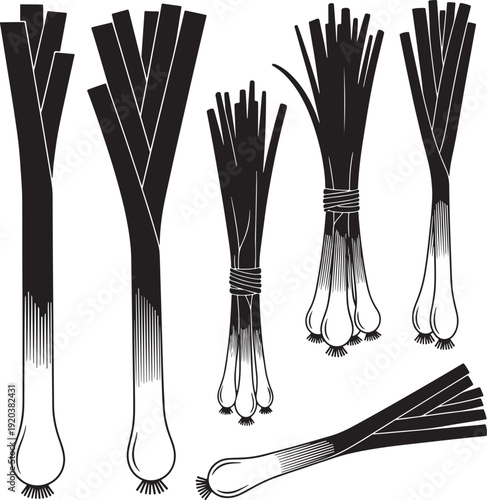 Black shoelaces vector bundle, set of 6. Includes various tied and untied laces. Created in minimalist style with monochromatic color scheme.