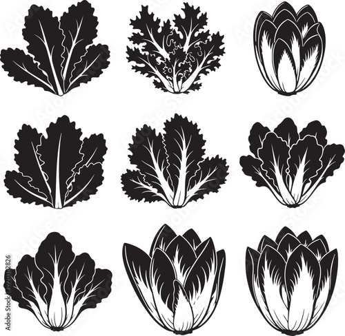 Vegetable leaf icon collection. Includes lettuce, kale, cabbage, and other leafy greens. Created in black and white vector style with simple illustrations
