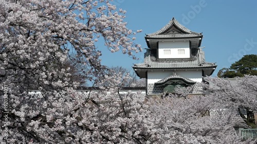満開の桜に包まれる金沢城と春の青空
AdobeStock-4K
