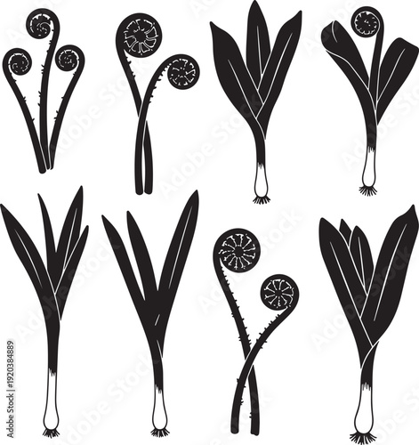 Ferns icon collection. Includes fern leaf, fern frond, and sprout illustrations. Created in minimalist style with black and white palette.