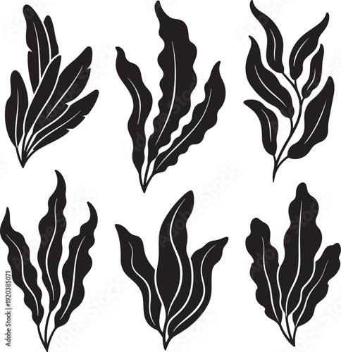 Black leaf icon set with white accents. Includes six different leaf designs. Created in simple vector style with monochromatic palette.