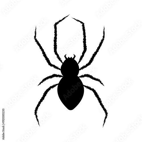 Black spider icon isolated on white background. Scary spider silhouette close up. Vector illustration.
