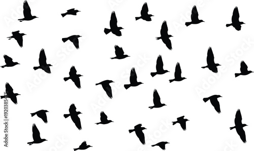 Flying birds silhouettes, flock in motion, bird migration, wildlife illustration, nature background, freedom concept, sky animals, avian silhouette collection