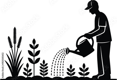 Gardener watering plants silhouette, sustainable agriculture concept, organic farming, eco friendly lifestyle, plant care, growth, nature, cultivation, harvest, environment