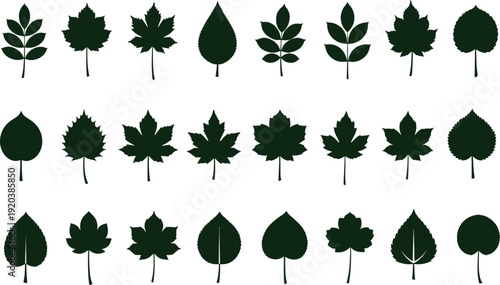 Collection of 20 different green leaves isolated on transparent background