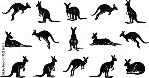 Large black silhouette collection of Australian kangaroos and wallabies in various poses, including jumping, standing, and resting, isolated on white background for nature design