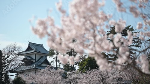 前ボケの桜越しに望む金沢城公園の春景色
AdobeStock-4K