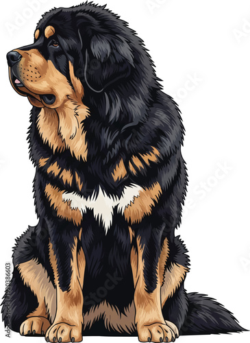 Tibetan Mastiff dog sitting alert attentive looking away illustration