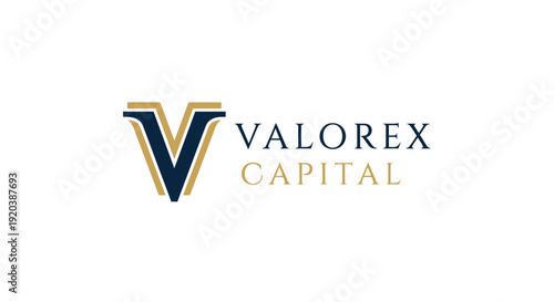 Elegant stylized 'V' letter logo design with an upward arrow, symbolizing finance and capital investment on an isolated white background.