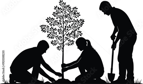 People planting tree silhouette illustration, volunteers digging and caring for sapling isolated on white background for environmental conservation concept