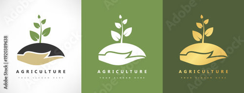plant and soil in the hands logo. caring for nature. logo of agriculture