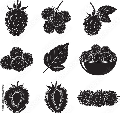 Blackberry icon collection. Includes blackberries, bowl of blackberries, blackberry leaf. Created in black and white line art style with monochromatic palette.