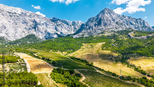 Fotografie Spectacular aerial view of Croatian agricultural landscape with vineyards, olive