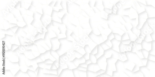 Beautiful white crystallized polygon background. abstract light white stone tile pattern with shadow. modern wallpaper, trendy simple minimal geometric background abstract mosaic backdrop.