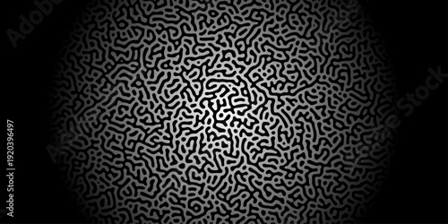 Abstract Reaction-diffusion Turing pattern natural texture gray and black gradient color scheme. Linear design with biological algorithm psychedelic background. Reaction-diffusion or truing patter