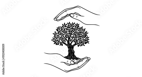 Olive Tree Protection Concept Vector Illustration Hands Caring Nature Symbol