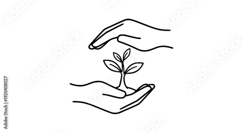 Hands Holding Olive Tree Vector Icon Environmental Care and Sustainability Symbol