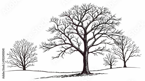 Wallpaper Mural Winter trees silhouettes collection Torontodigital.ca