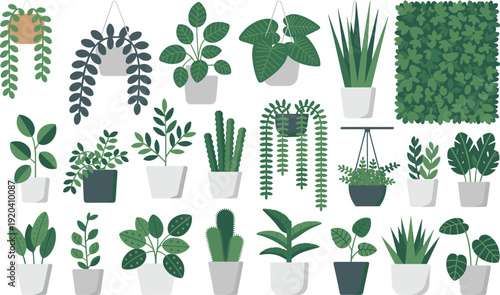 Collection of various green potted plants and hanging foliage in white and gray pots on a white background