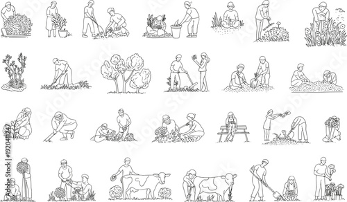 Elderly people engaging in gardening and farming activities with various tools and plants vegetables