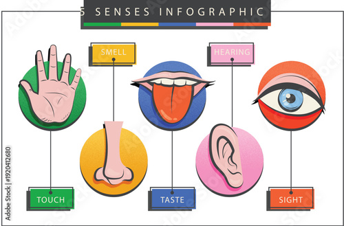 Five senses cartoon icons for educational preschool learning material vector