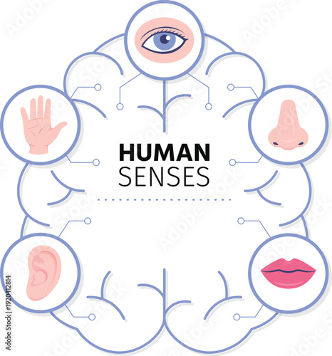 Medical illustration of hearing smell and sight sensory icons vector