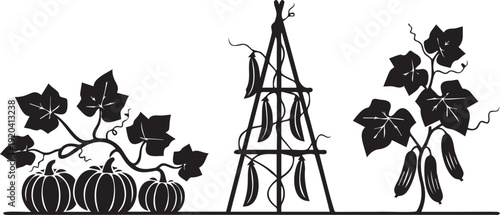 Climbing garden vegetables silhouettes featuring pumpkins on vine peas on trellis and cucumbers hanging from leafy plants vector