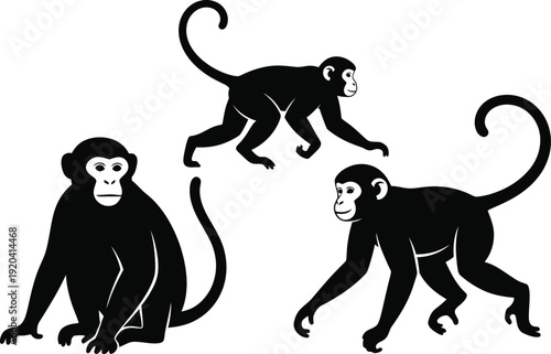 Monkey silhouette vector set with sitting and walking poses, black primate animal illustration isolated on white background