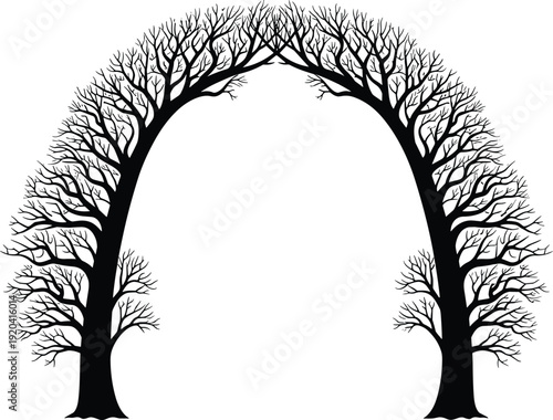 Black silhouette of two tall trees with intricate bare branches leaning toward each other to form a natural arched gateway