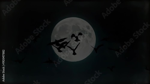 Birds silhouettes flying across full moon in dark night sky