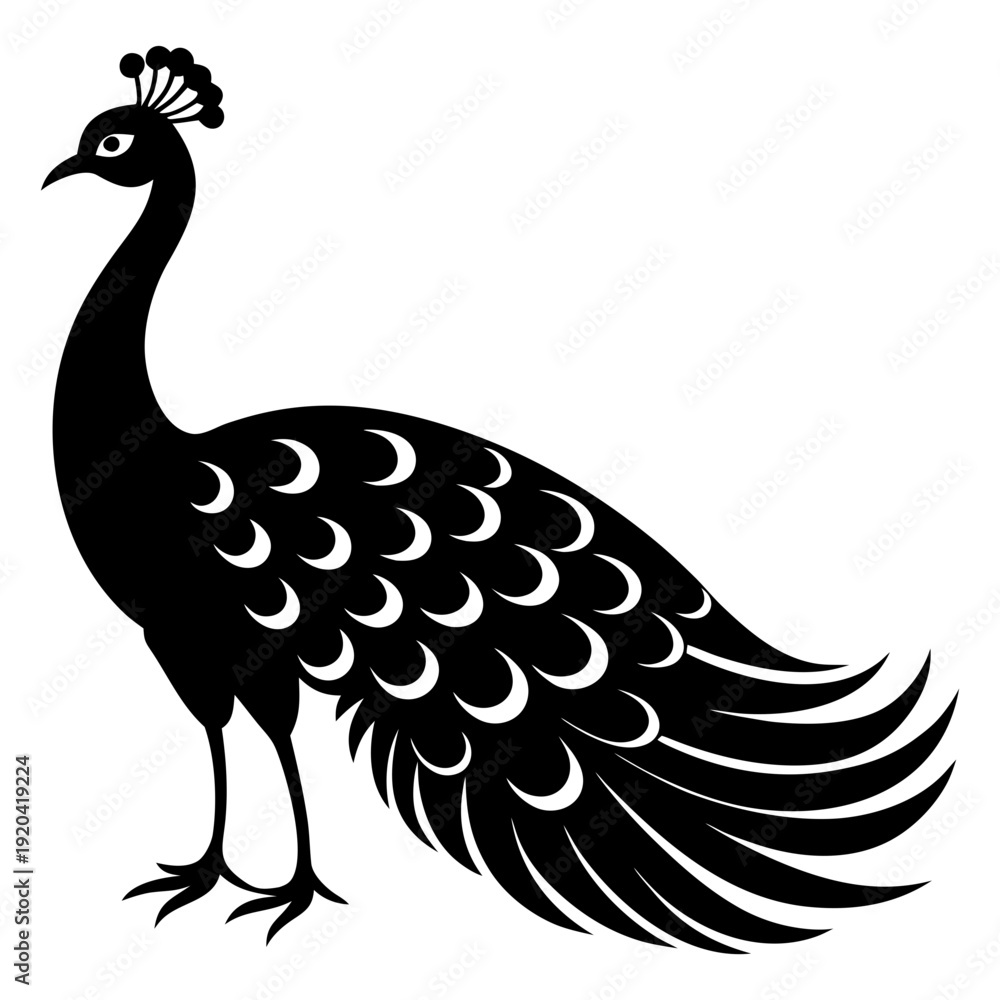 Fototapeta premium Peacock Silhouette Vector On Transparent Background
