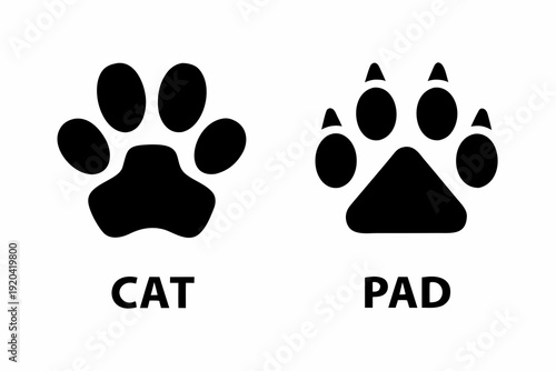 Black cat paw prints and text labels identifying cat and pad