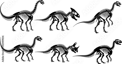 Detailed dinosaur skeleton vector silhouette set for museum branding and educational science graphics.
