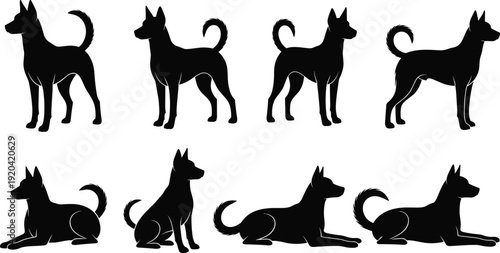 Black silhouette collection of a domestic dog in various standing and lying poses isolated on white background for vector design.