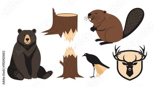 Collection of forest themed illustrations including a sitting brown bear, a beaver near chewed wood, a black bird, and a deer head emblem.