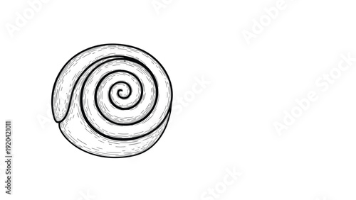 Detailed line drawing of a spiral sea shell featuring intricate black and white patterns for beach and marine life themes.