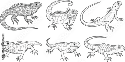 Detailed lizard and iguana line art sketch vector set featuring various reptiles in different poses for scientific illustration nature education biological drawing and vintage tattoo designs