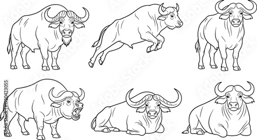 African buffalo line art vector set featuring wild cape buffalo in various poses for coloring books wildlife education mascot logo design and nature themed illustrations