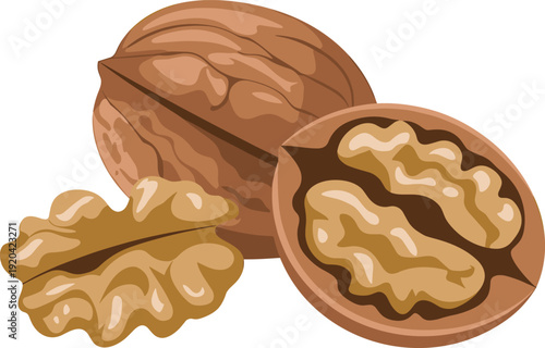 Walnuts with Cracked Kernel Isolated on Transparent Background Organic Nut Concept