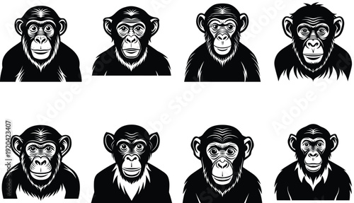 black and white illustration of a mankey