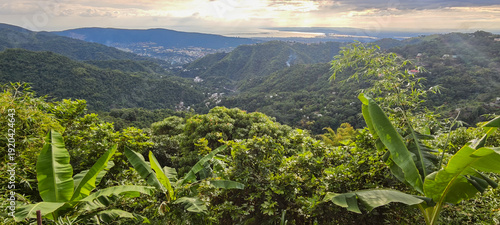 Panel kuchenny z motywem Landscape at the Blue Mountains in Jamaica