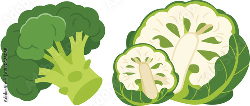 Fresh Broccoli and Cauliflower Isolated on Transparent Background Healthy Vegetable Concept