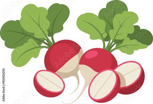 Fresh Radishes with Green Leaves Isolated on Transparent Background Farm Fresh Concept