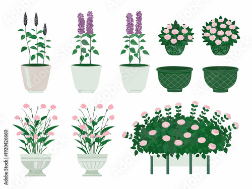 Collection of potted lavender roses and blooming flower arrangements
