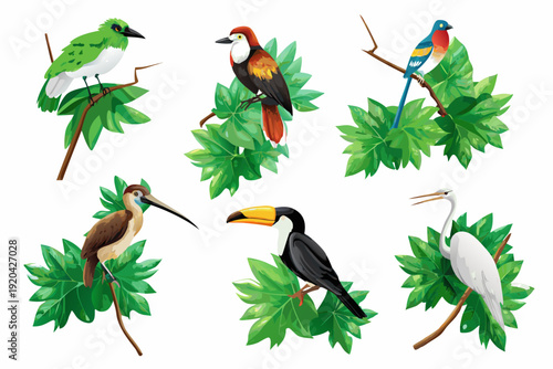A colorful illustration depicting six different tropical bird species on branches