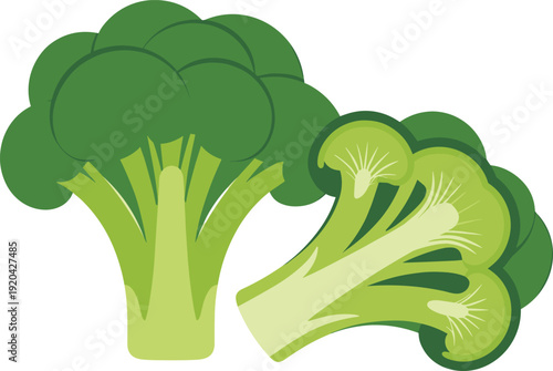 Green Broccoli Florets Isolated on Transparent Background Healthy Nutrition Concept