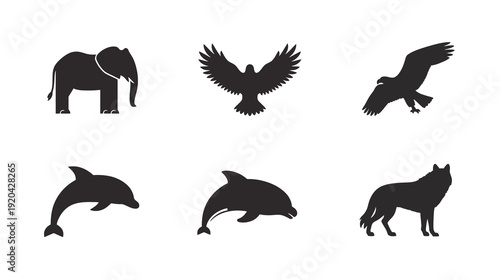 Elephant, Eagle, Dolphin, Wolf, and Hawk in Black Silhouettes on White Background