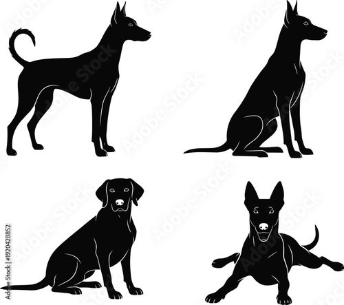 Black vector silhouette set of domestic dogs in various poses including standing sitting and lying down for pet care veterinary and animal branding (23 words)