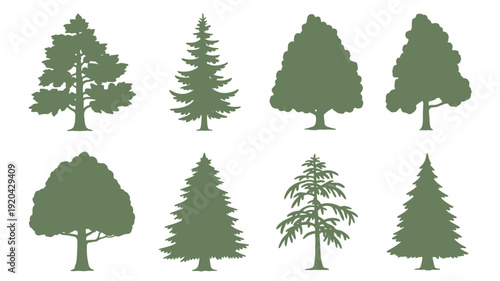Collection of eight different green coniferous trees in silhouette