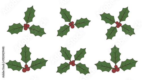 Six holly sprigs with red berries on a white background